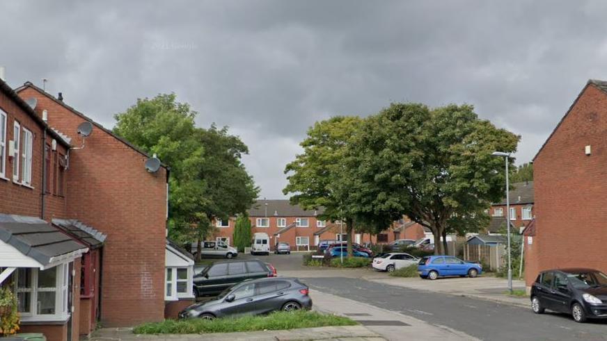 Nelson Way in Chadderton. Several red brick houses with cars outside. Three trees are in the middle and a sky dish on one of the houses. Some have sheds in the back.