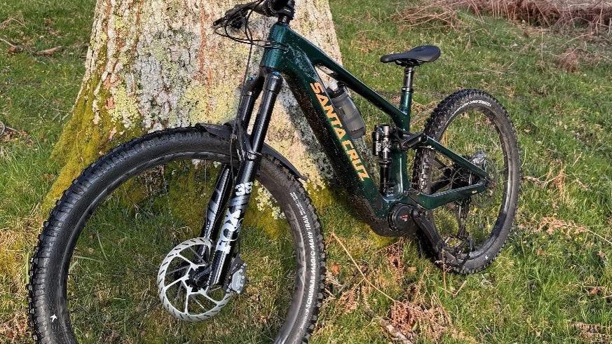 An avocado green Santa Cruz Heckler bike is leaning against a mossy tree trunk in a grassy area.