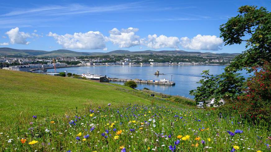 Douglas Bay from Douglas Head, there are green grass and purple and yellow flowers in the foreground, with the Manannan ferry berthed in the harbour. There are buildings on the seafront in the background which are backed by hills. There is a row white cumulous clouds in the sky which is bright blue.