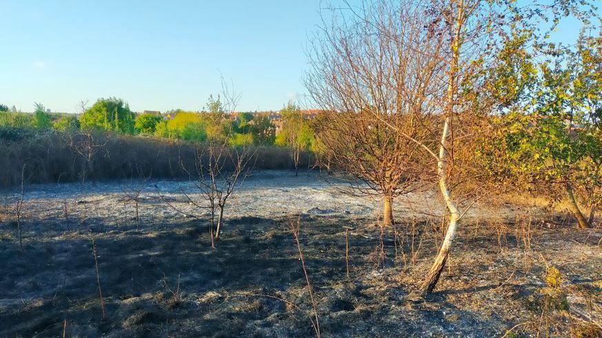 A section of Dane Valley woods in Margate with a large area burnt to the ground after a large fire in August 2022