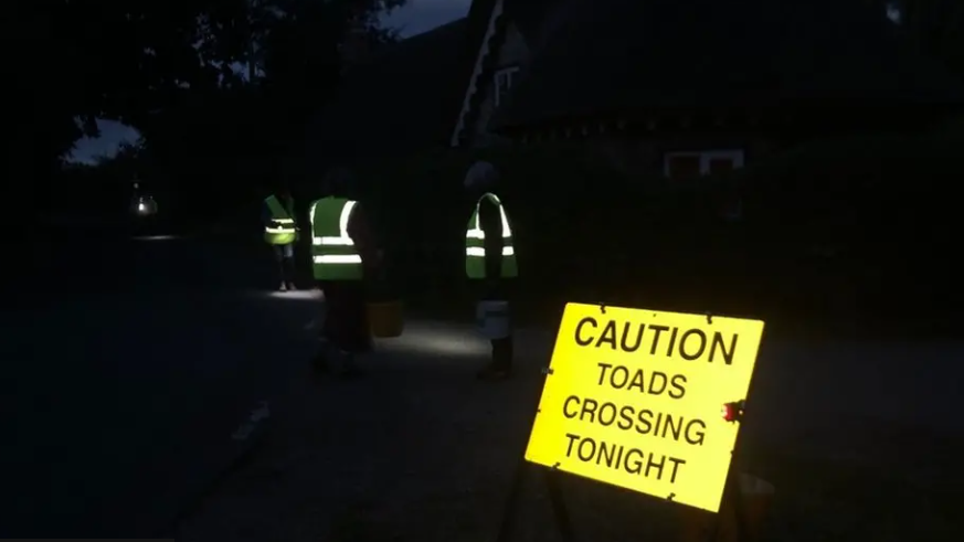 A nighttime shot of three people, just visible in high-vis jackets, with an illuminated sign in the foreground saying 'Caution Toads Crossing Tonight'