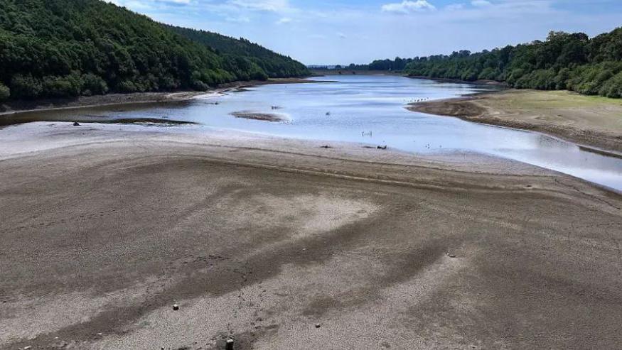 A depleted reservoir flanked by emerald green forests. There are small islands, formed from silt.