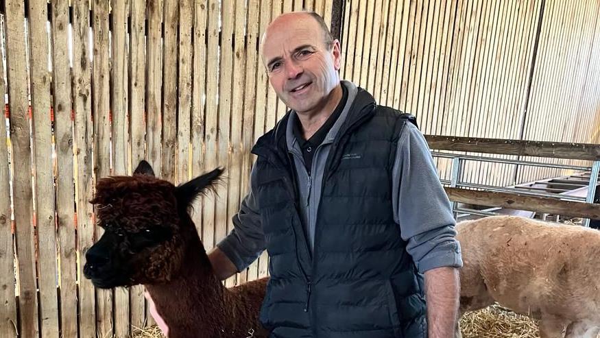 Rob Izzard standing in a pen with his arm around the neck of a dark brown coloured alpaca. He is smiling and wearing a dark blue body warmer. There is straw covering the ground and you can see part of the body of a lighter coloured alpaca standing behind him.