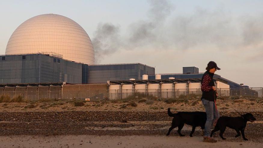 A man walks a pair of black dogs past the Sizewell nuclear power station in the background
