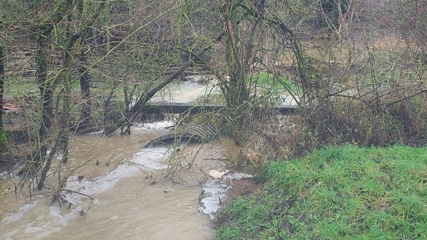 Sodden Strawberry Hill