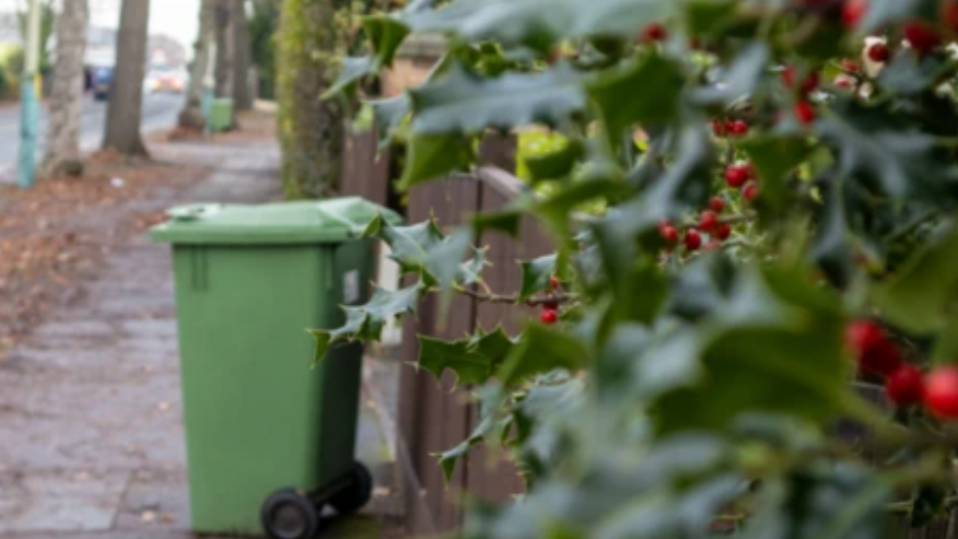 A tree-lined street with a green wheelie bin standing by a fence with leaves and berries from a holly tree in the foreground.