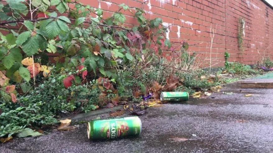 Cans of alcohol on the ground