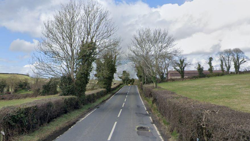 Country road with pothole encircled with yellow paint. Hedges and tree line the road with fields to either side.