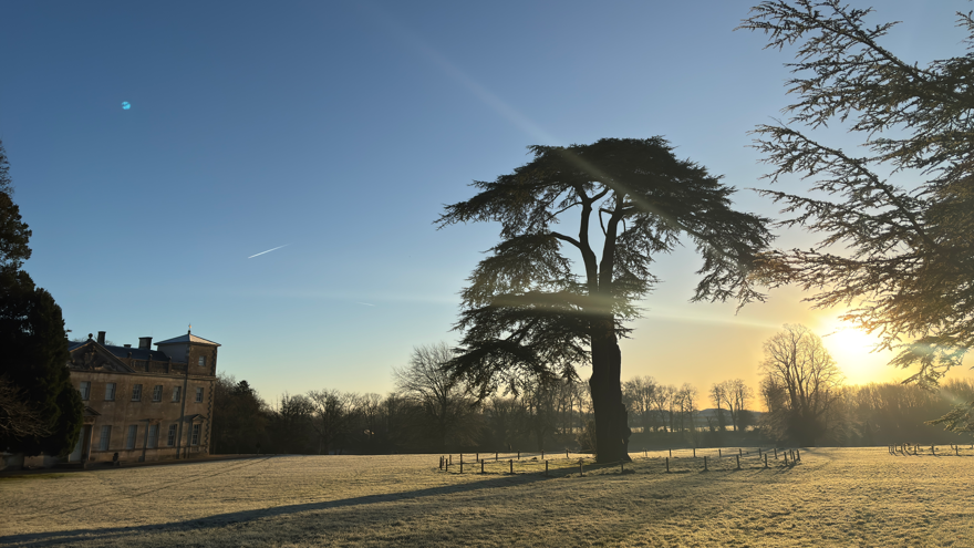 A sunny winter's morning with a large tree in the middle of the picture, a country house to the left and the rising sun in the background.