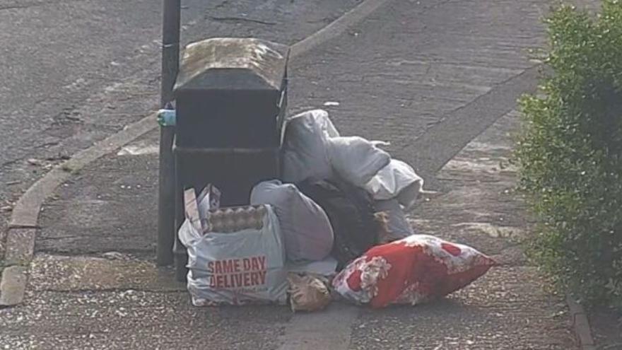 Carrier bags full of rubbish left next to a public litter bin on a residential street in Hull. 