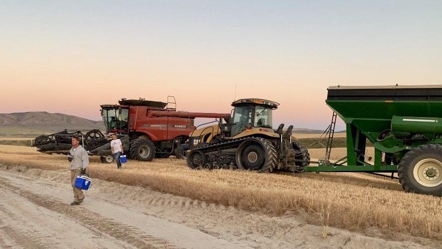 Harvesters at a Shepherd’s Grain farm