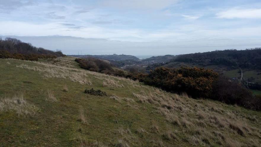 A general view of Dover Downlands showing rolling hills and woods as far as the eye can see