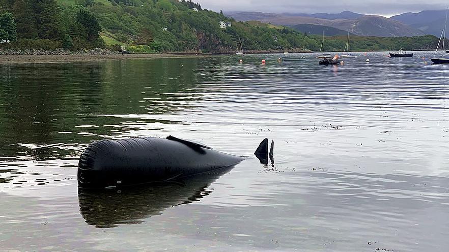 Whale rescue training prop