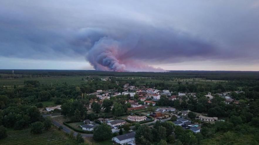 Smoke rising in the background during a wildfire in a forest area in France