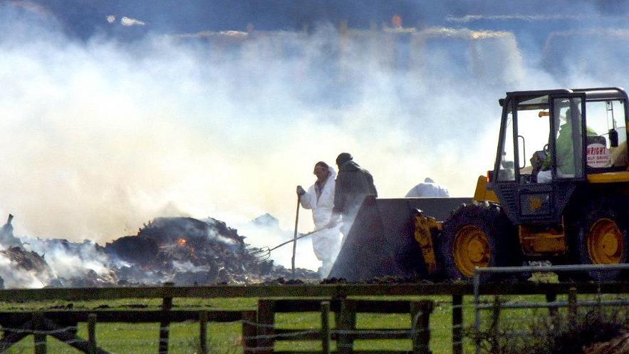 Livestock being burned on a pyre during the 2001 foot and mouth outbreak. Smoke rising from fires watched by man in white hazmat suit and another man, standing next to a tractor