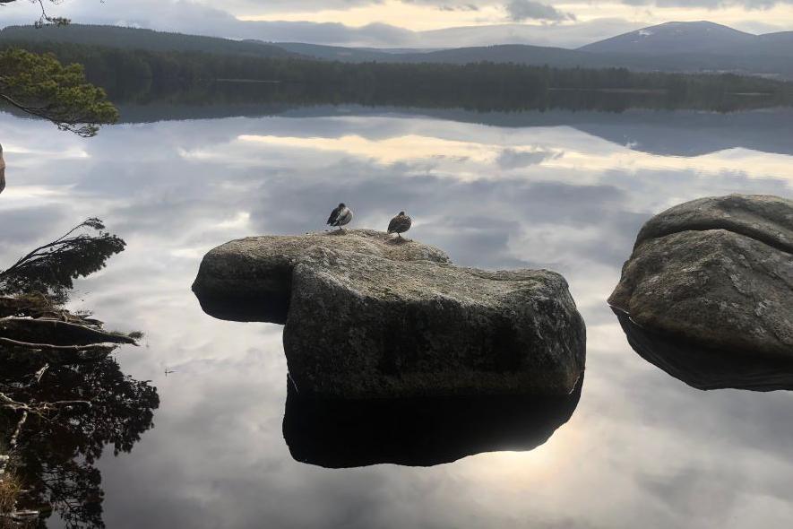 Stones reflected in a loch