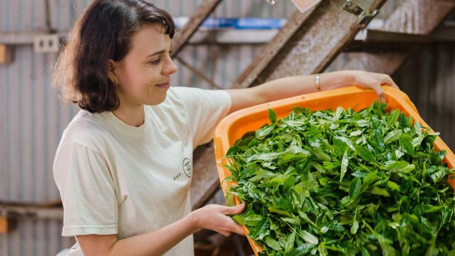 Tea supplier Lauren Purvis is pictured carrying a carton of tencha tea leaves in a matcha production facility.
