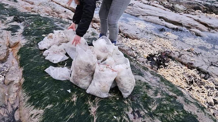 A woman clearing up plastic bags on a beach. There are also chips scattered all over the rocks.