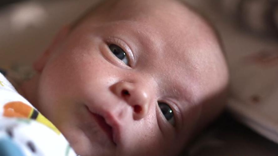 Three-week old baby Lando looking off to the left of the camera, with big wide eyes.