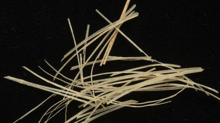Long, narrow, off-white whale baleen strands.