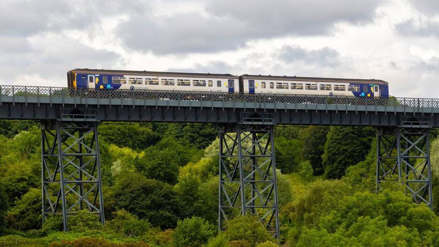 A Northern train running on the Northumberland Line crosses the North Seaton Viaduct. The blue and white two-carriage train cross over the grey steel bridge. It is passing over a large number of green, leafy trees.