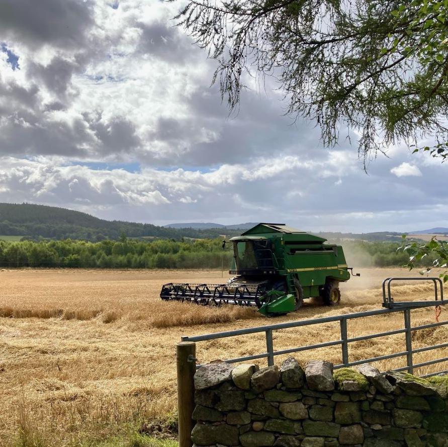 Combine harvester in a field with an open gate and stone dyke in foreground