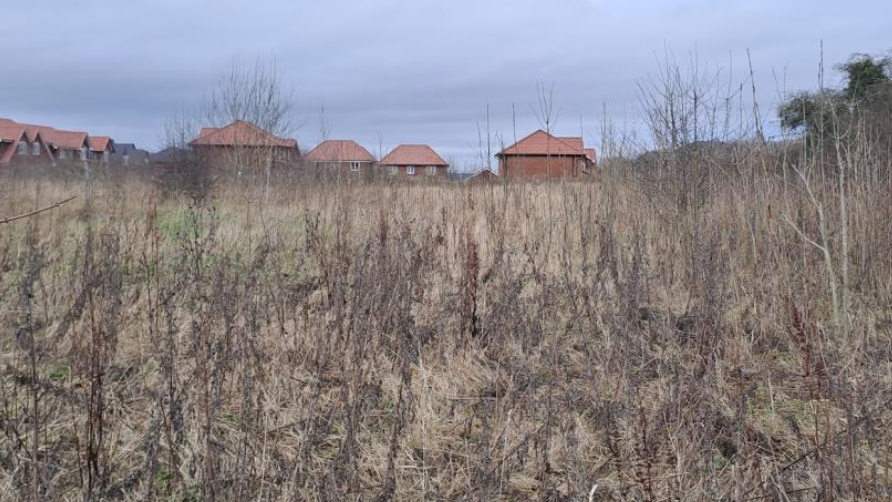 A field with long grass and a row of houses to the rear