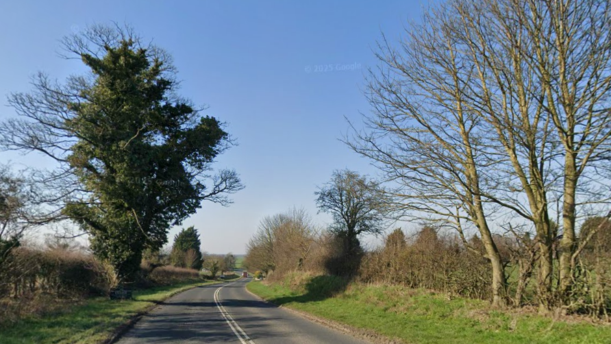 A picturesque country road bathed in sunshine. Trees, grass verges and hedgerows are on either side.