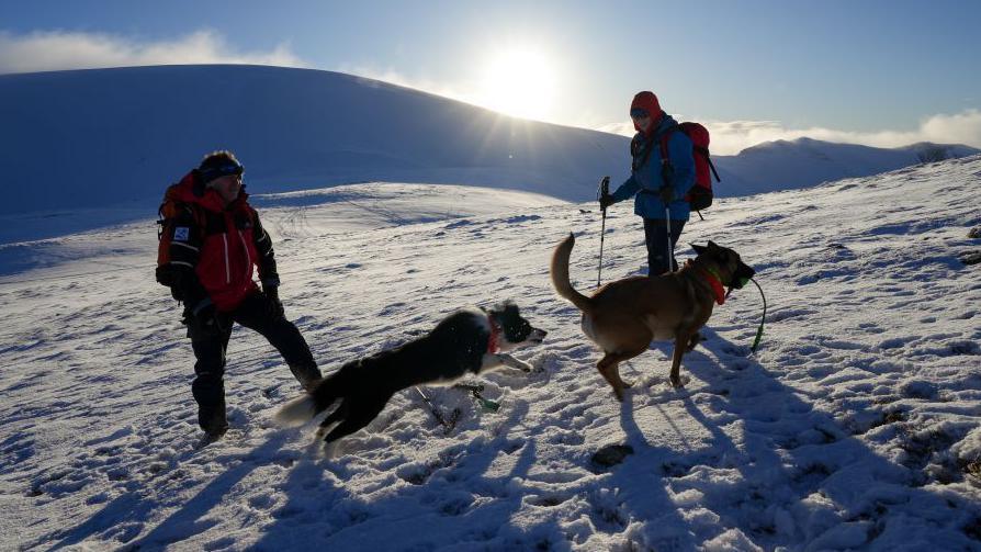 Rescue dog team