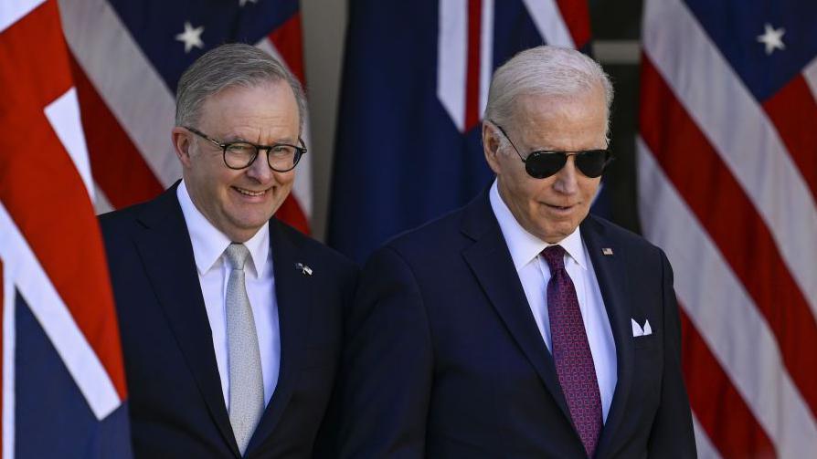 Albanese and Biden walk in front of flags