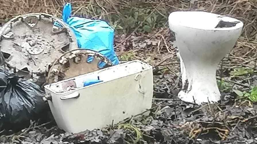 A toilet and some wheel hubs dumped by the side of the road 