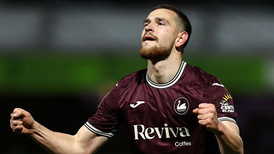 Swansea City striker Zan Vipotnik celebrates a goal last season