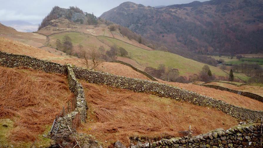 Castle Crag Fell in the North West of the Lakes. There a several brick walls and the sloping land is orange and green dotted with trees.