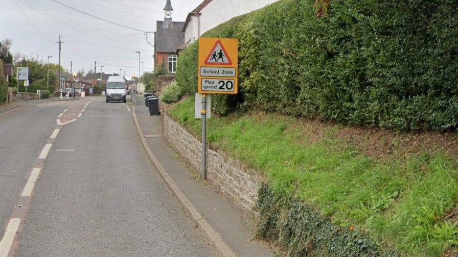 A yellow sign by the side of the street with a red triangular school crossing warning, and the wording "School Zone - Max Speed 20". 