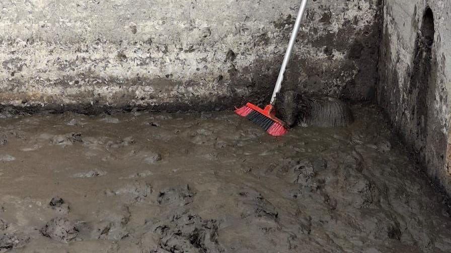 A long shot of an adult female badger resting its head on a red and black broom head in a slurry pit full of black sludgy-looking slurry. It is against a wall and its head and torso are above the slurry, so completely covered in black sludge its white stripes cannot be seen.