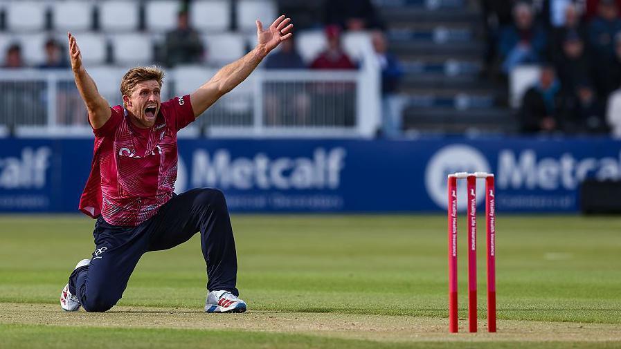 David Willey goes down on one knee and throws his arms in the arm appealing for a wicket in a T20 match. There are three red stumps in the foreground.