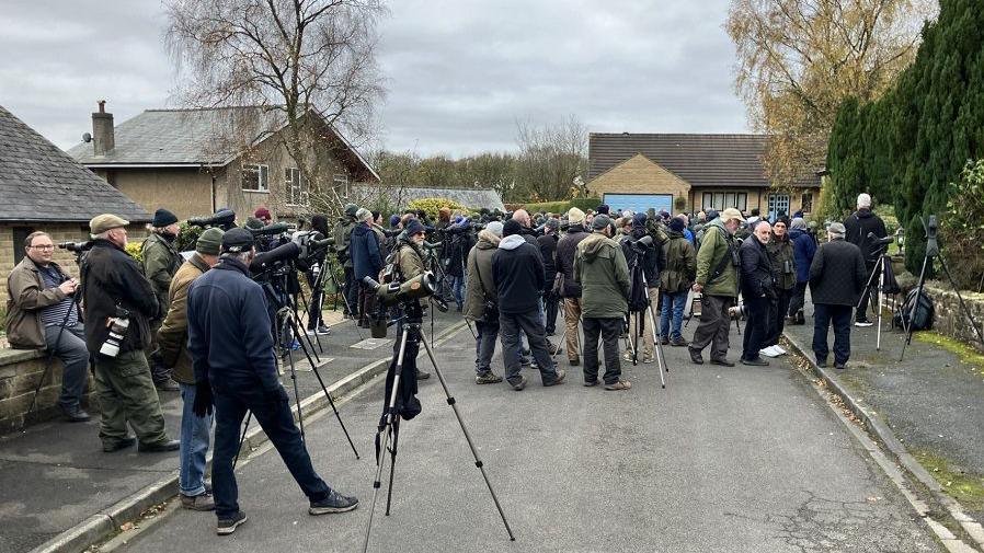 Crowds of people with their spotting scopes waiting to see the bird 