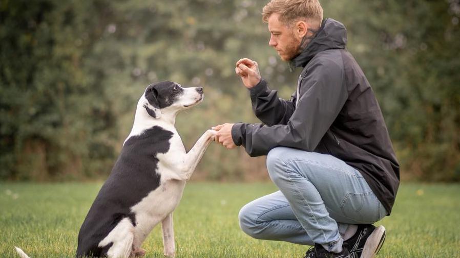 Man holding dogs paw