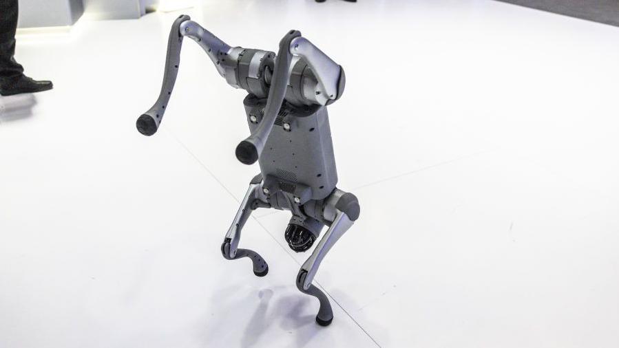 A Unitree Go2 quadruped robotic dog demonstration at the MWC25 tech show in Barcelona, Spain, on Monday, March 3, 2024. The Mobile World Congress tech show runs March 3-6. 