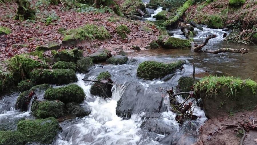 A stream is pictured with water going over rocks