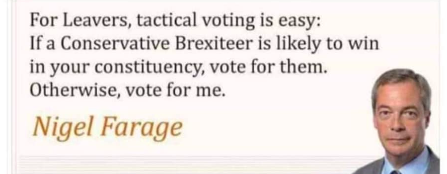 'For Leavers, tactical voting is easy: if a Conservative Brexiteer is likely to win in your constituency, vote for them. Otherwise, vote for me.' Nigel Farage