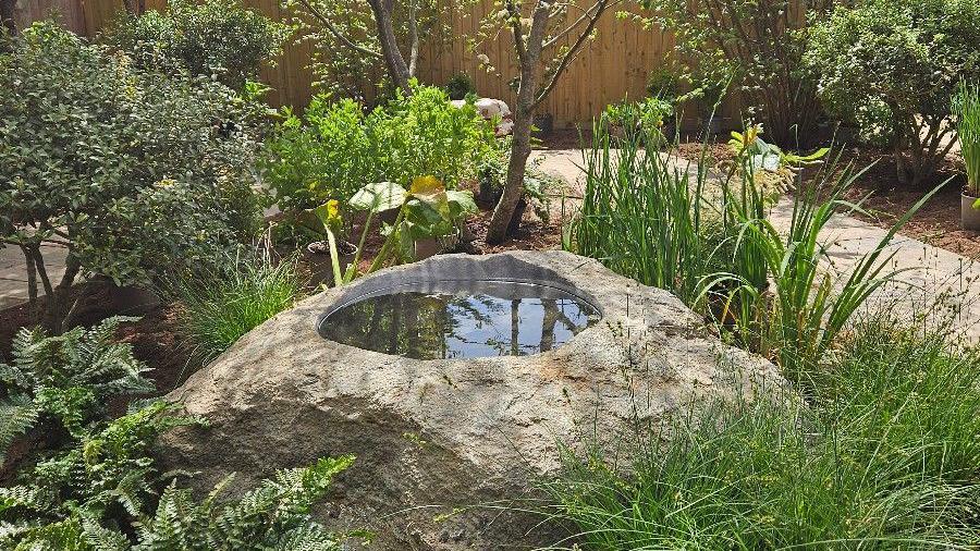 A water pool in the middle of a stone with foliage which is green around it.