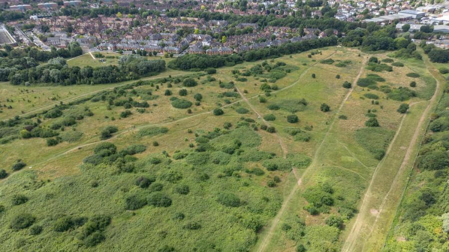 An aerial view of greenery at Wormwood Scrubs Nature Reserve, with a view of homes in the area lining the edge of the reserve.