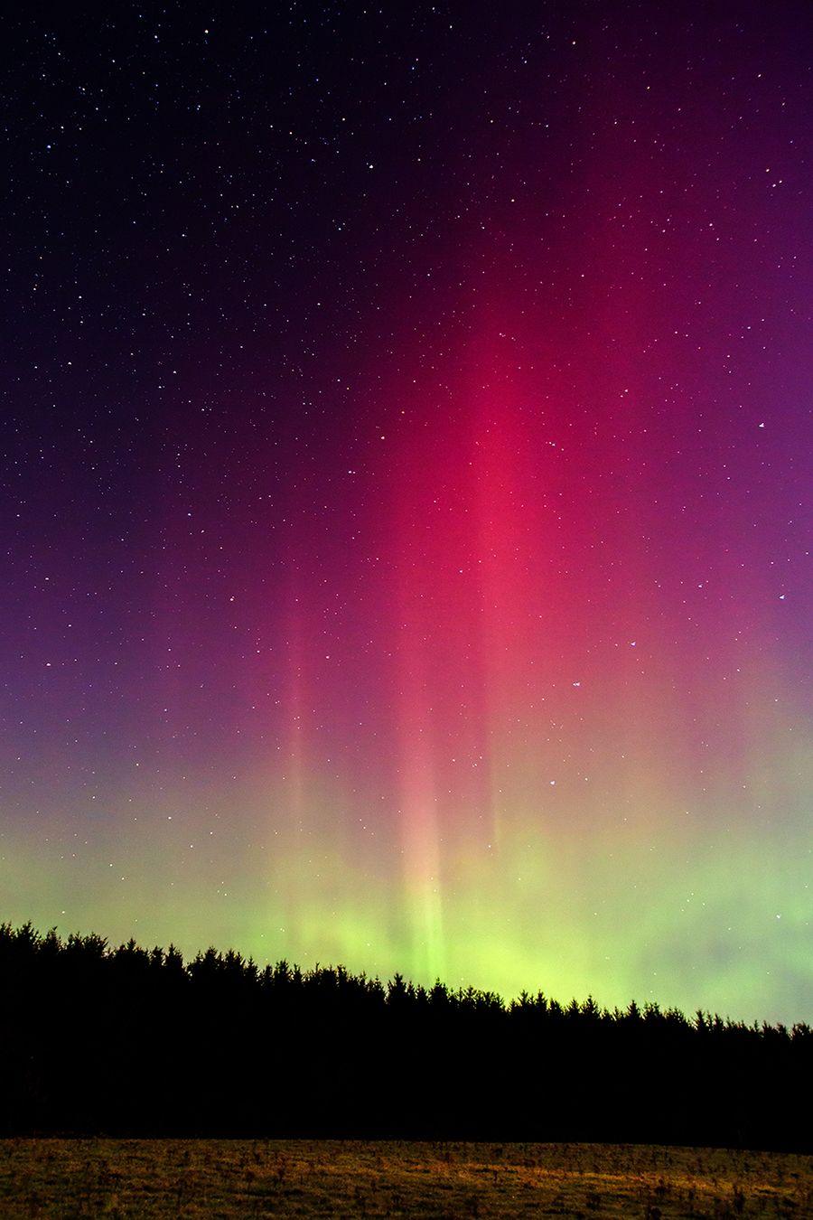 Arora borealis , from Elgin.