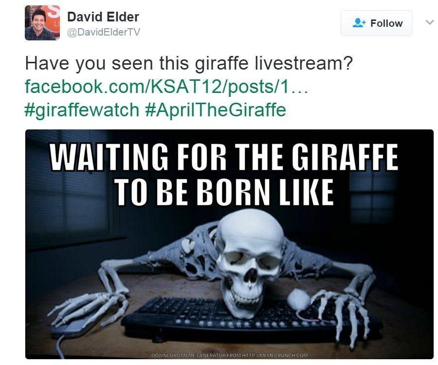 A tweet saying "waiting for the giraffe to be born like" and a picture of a skeleton