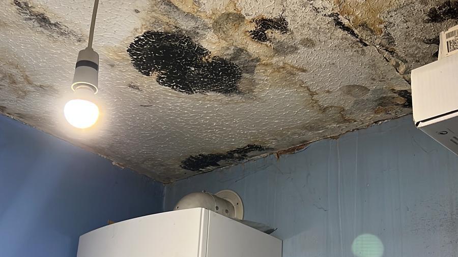 Black mould on the ceiling above a boiler and near a hanging light