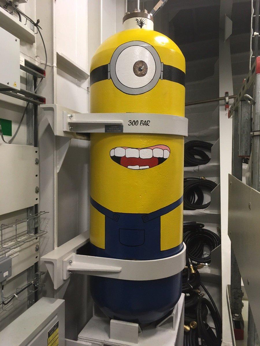 HMS Queen Elizabeth's Minion