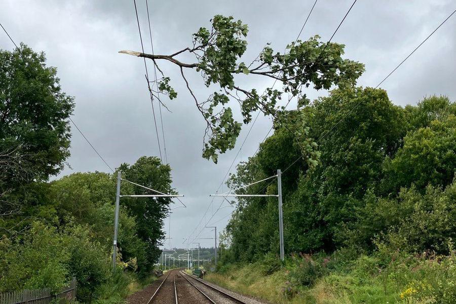 Part of a damaged tree balancing on power lines high above a deserted railway line