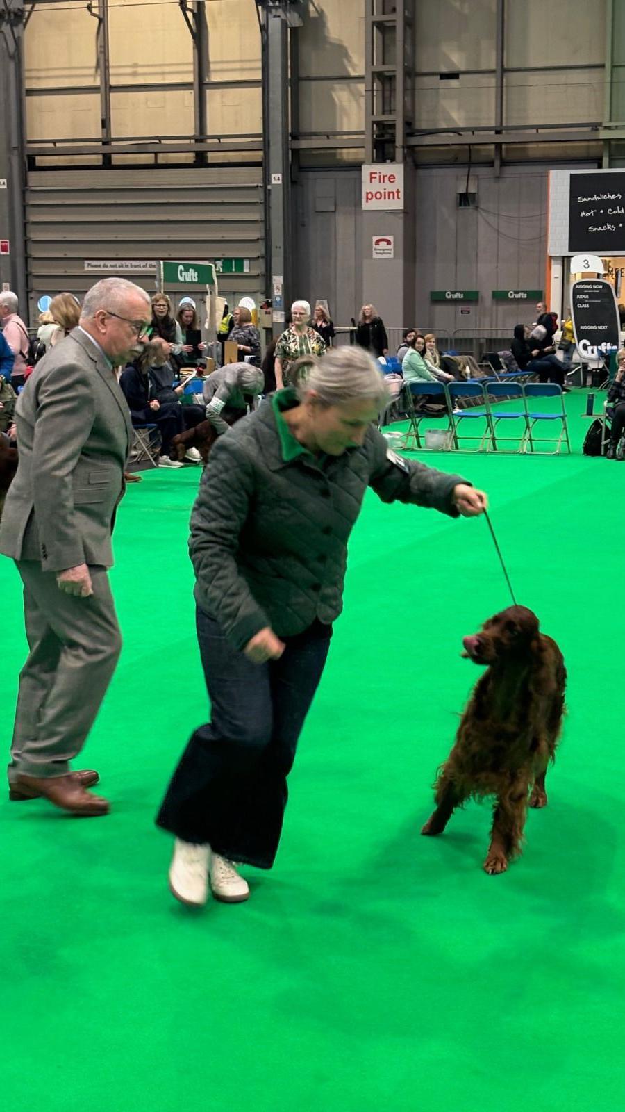 Crufts 2025