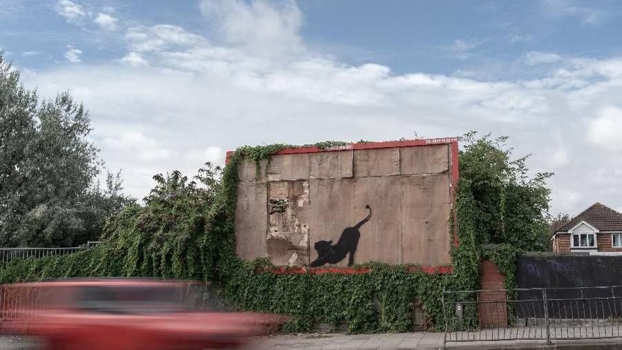 A black silhouette of a stretching cat painted on a dilapidated empty brown billboard